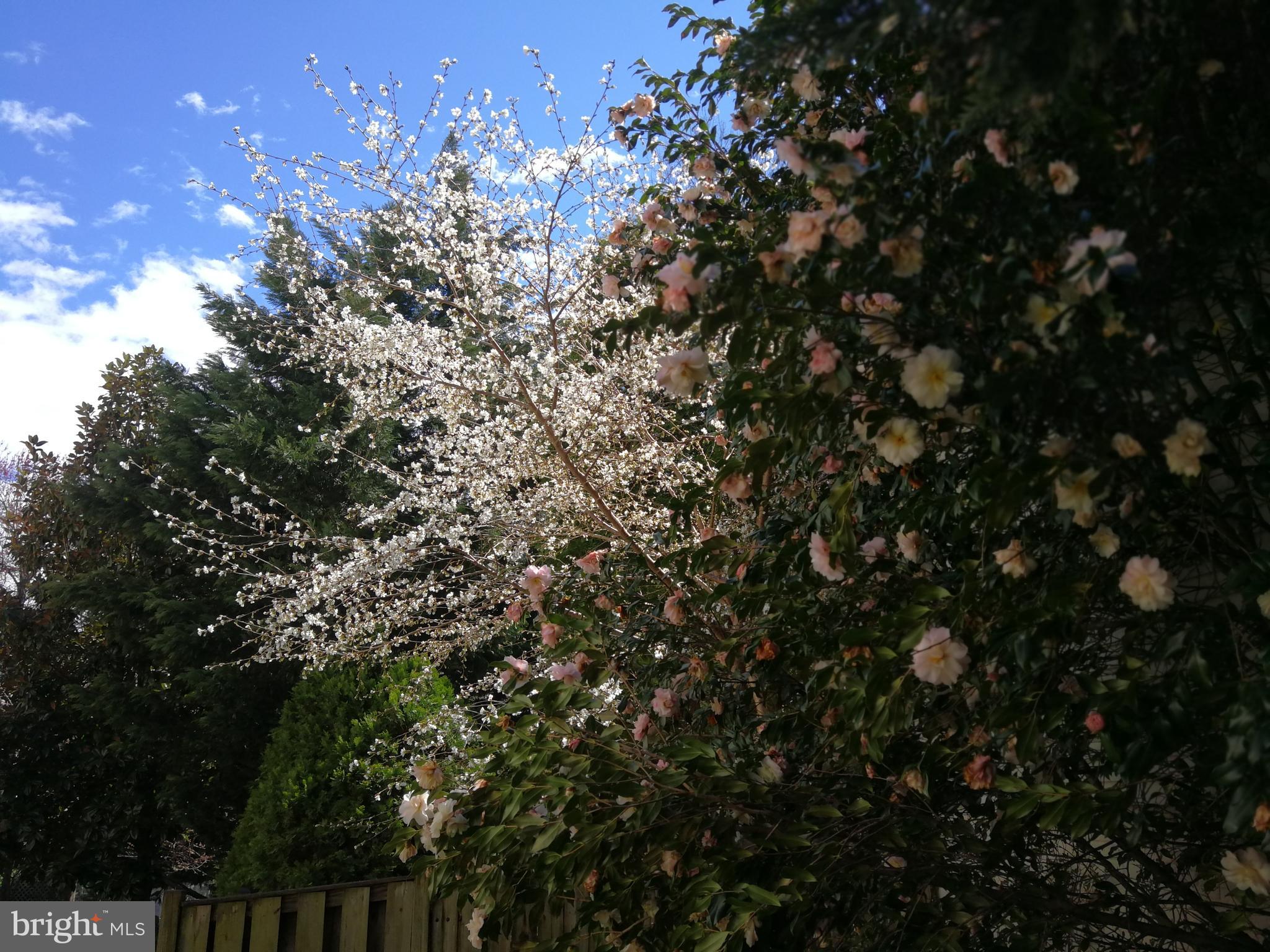 CARTERS GLEN - Residential Lease