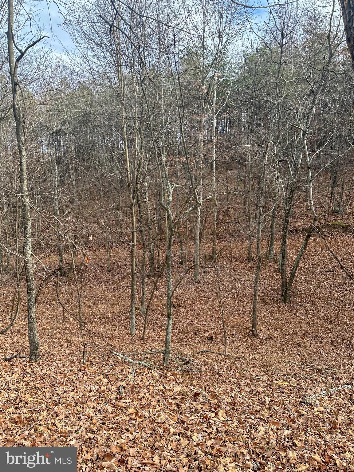 RIDGES AT SOUTH BRANCH - Land