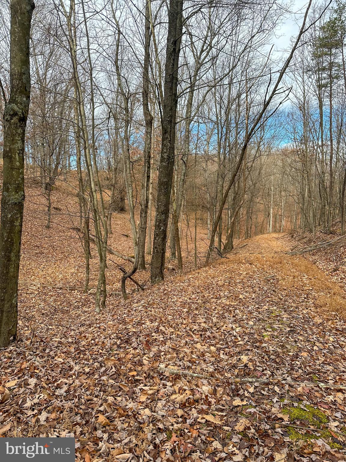 RIDGES AT SOUTH BRANCH - Land