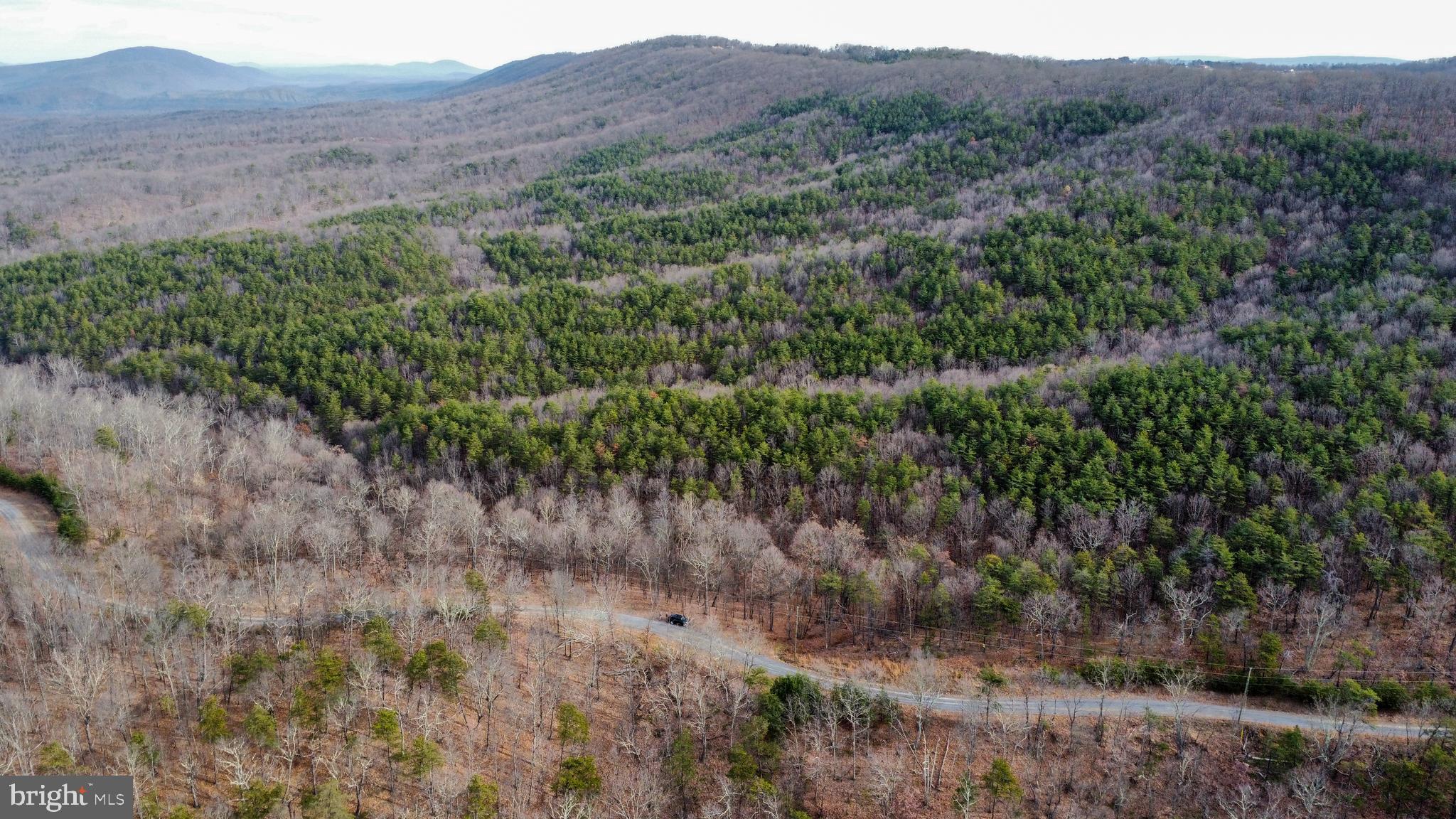 RIDGES AT SOUTH BRANCH - Land