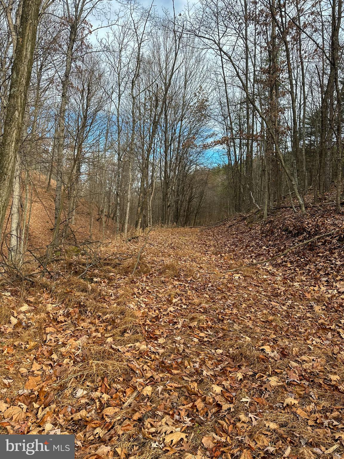 RIDGES AT SOUTH BRANCH - Land