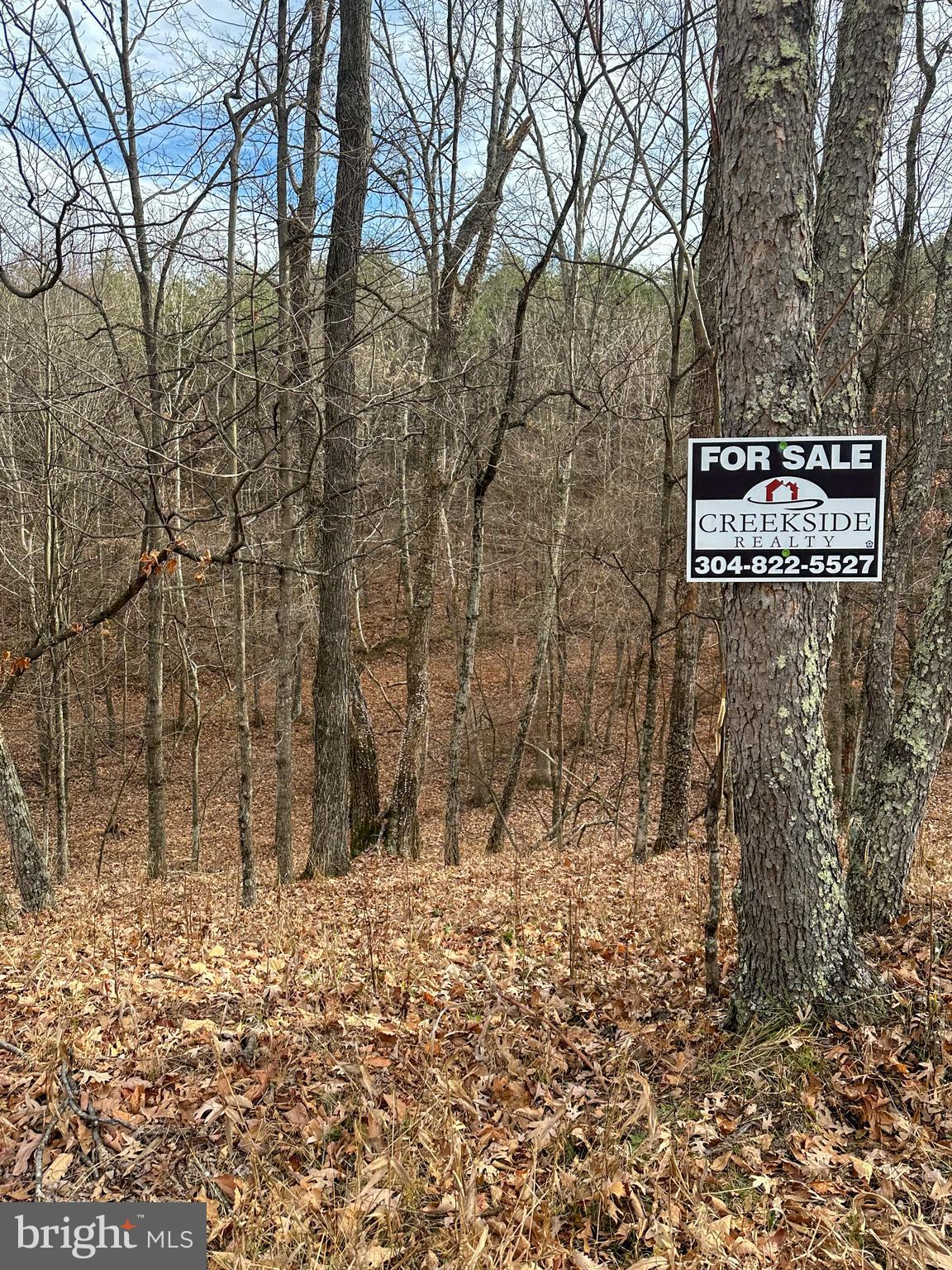 RIDGES AT SOUTH BRANCH - Land