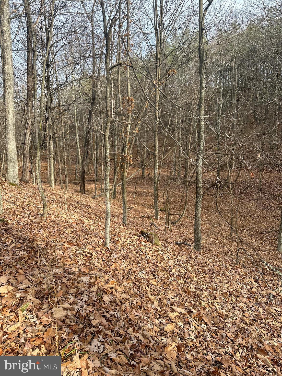 RIDGES AT SOUTH BRANCH - Land