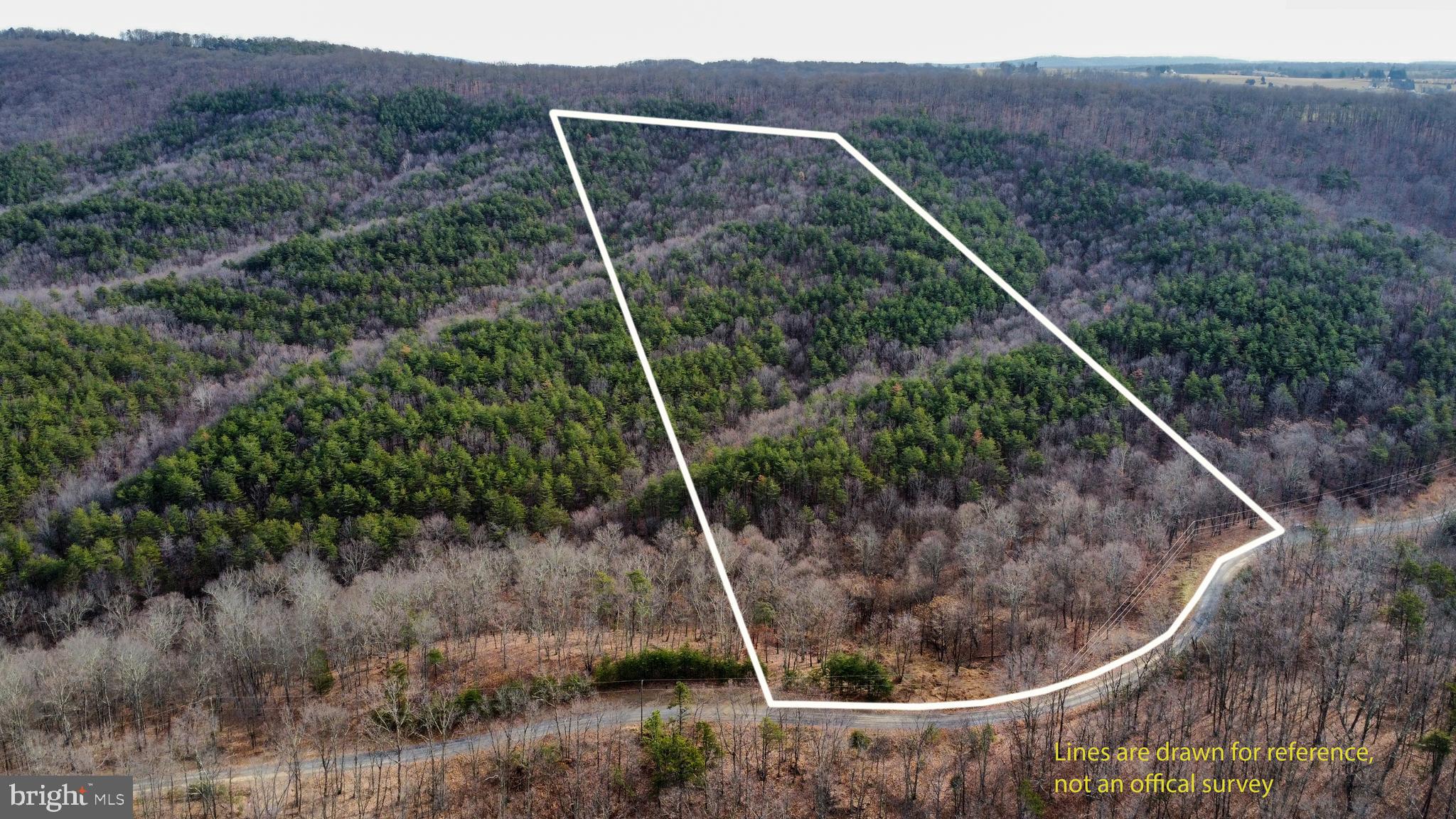 RIDGES AT SOUTH BRANCH - Land