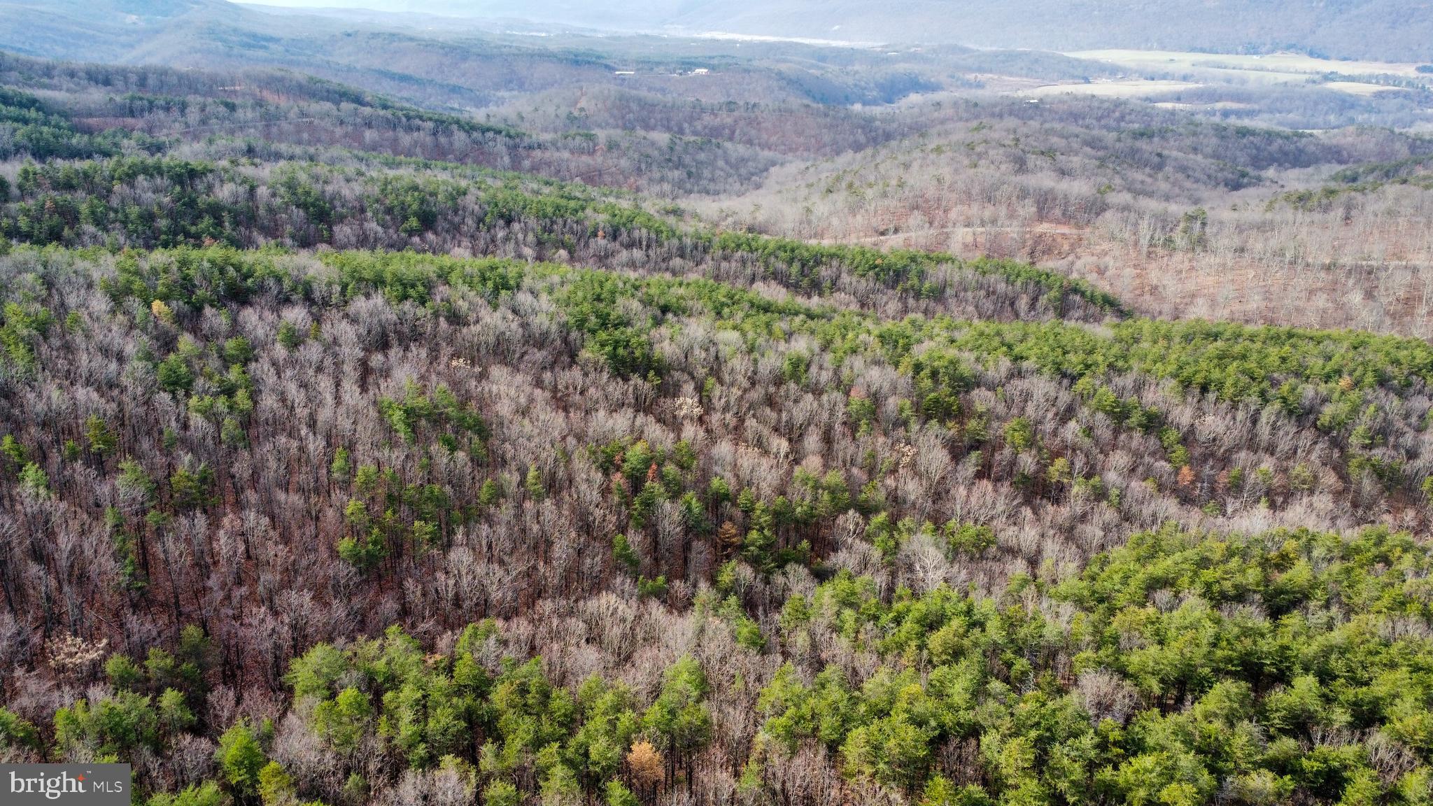 RIDGES AT SOUTH BRANCH - Land
