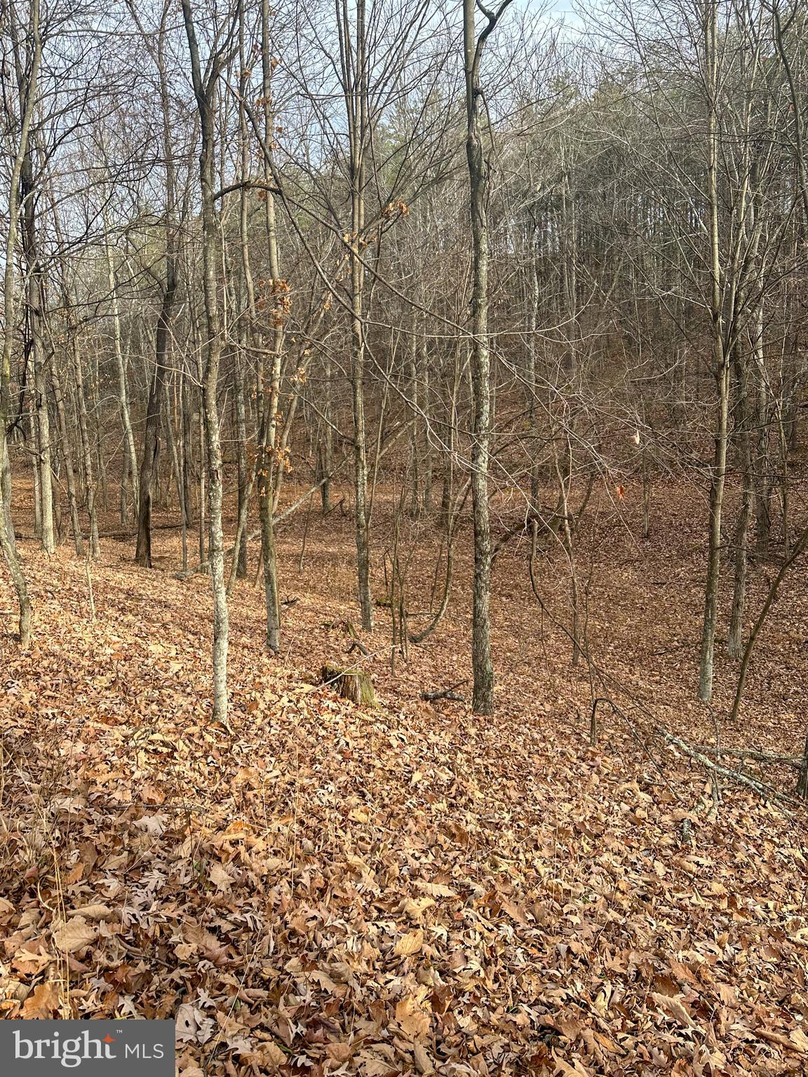 RIDGES AT SOUTH BRANCH - Land