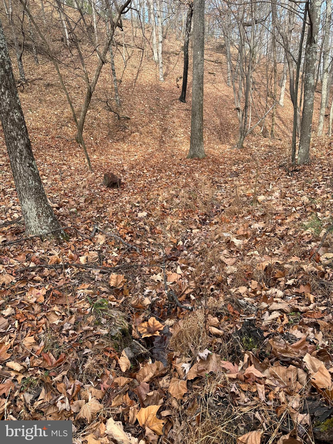 RIDGES AT SOUTH BRANCH - Land