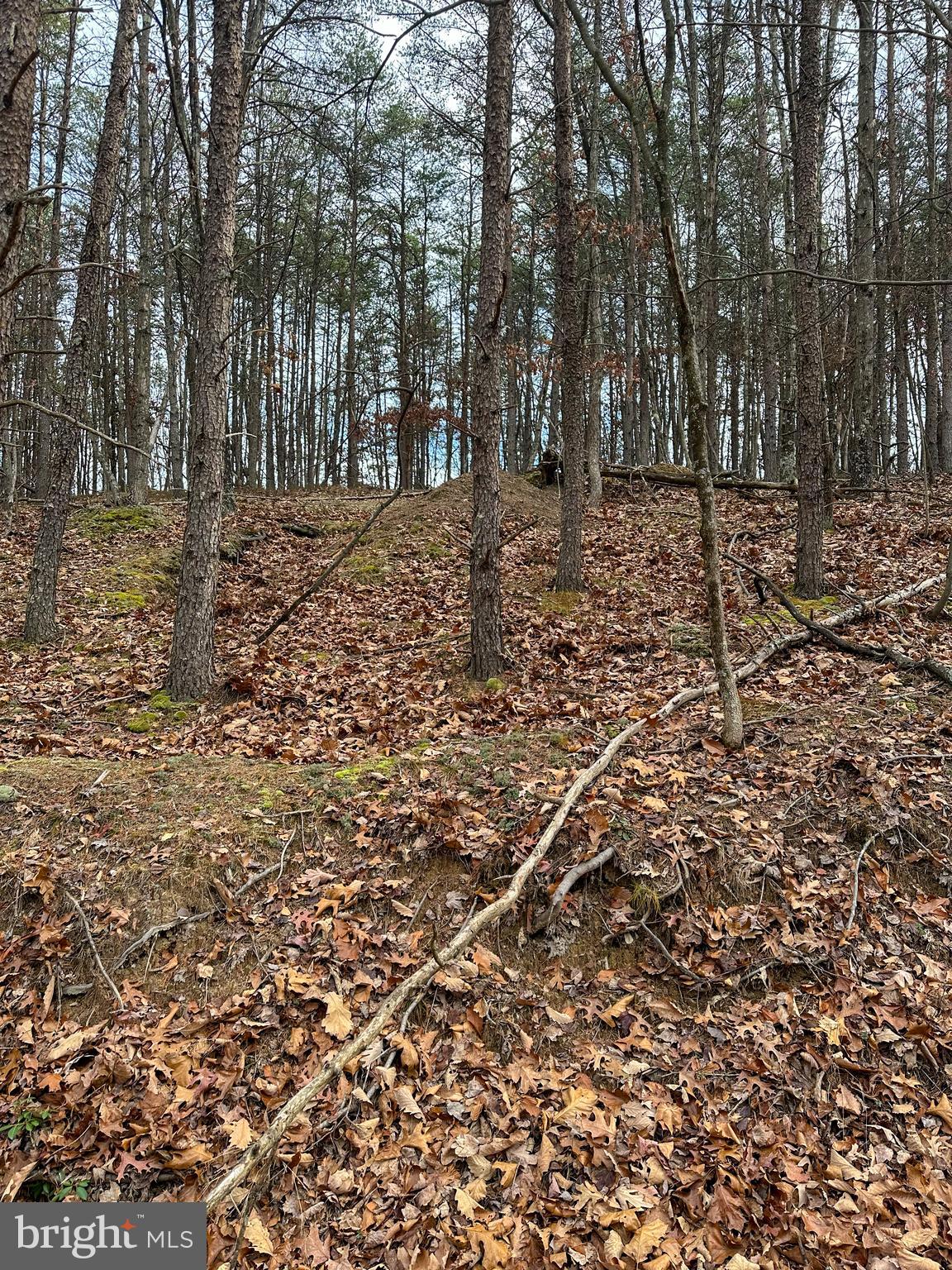 RIDGES AT SOUTH BRANCH - Land