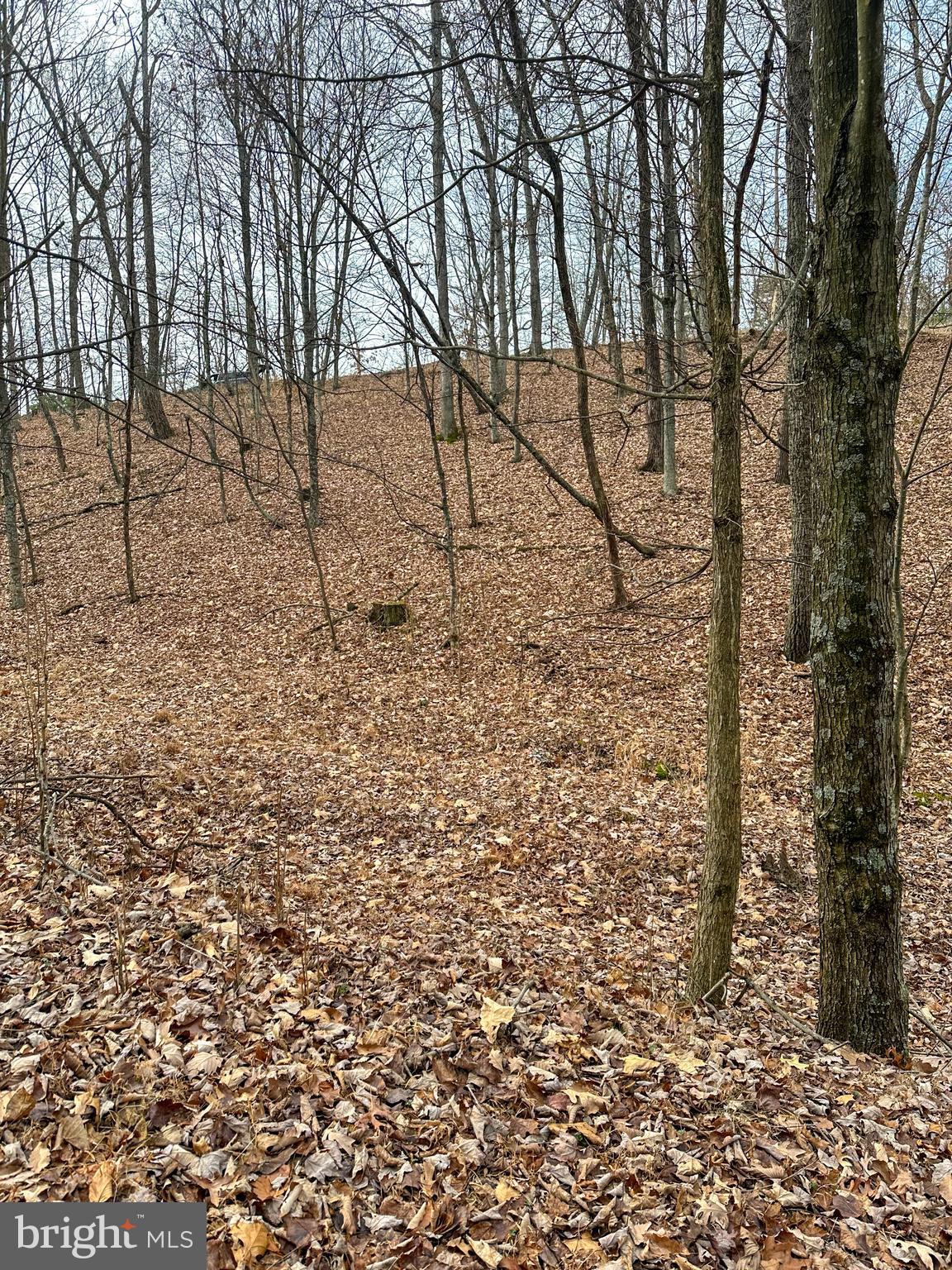 RIDGES AT SOUTH BRANCH - Land