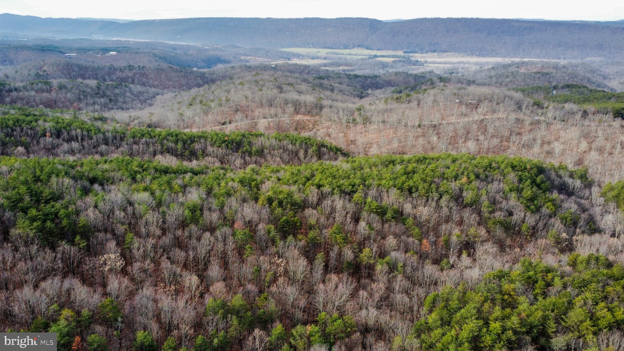 RIDGES AT SOUTH BRANCH - Land