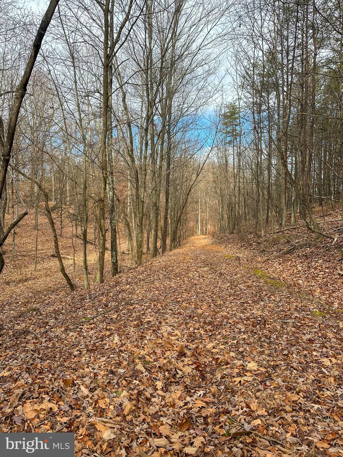 RIDGES AT SOUTH BRANCH - Land