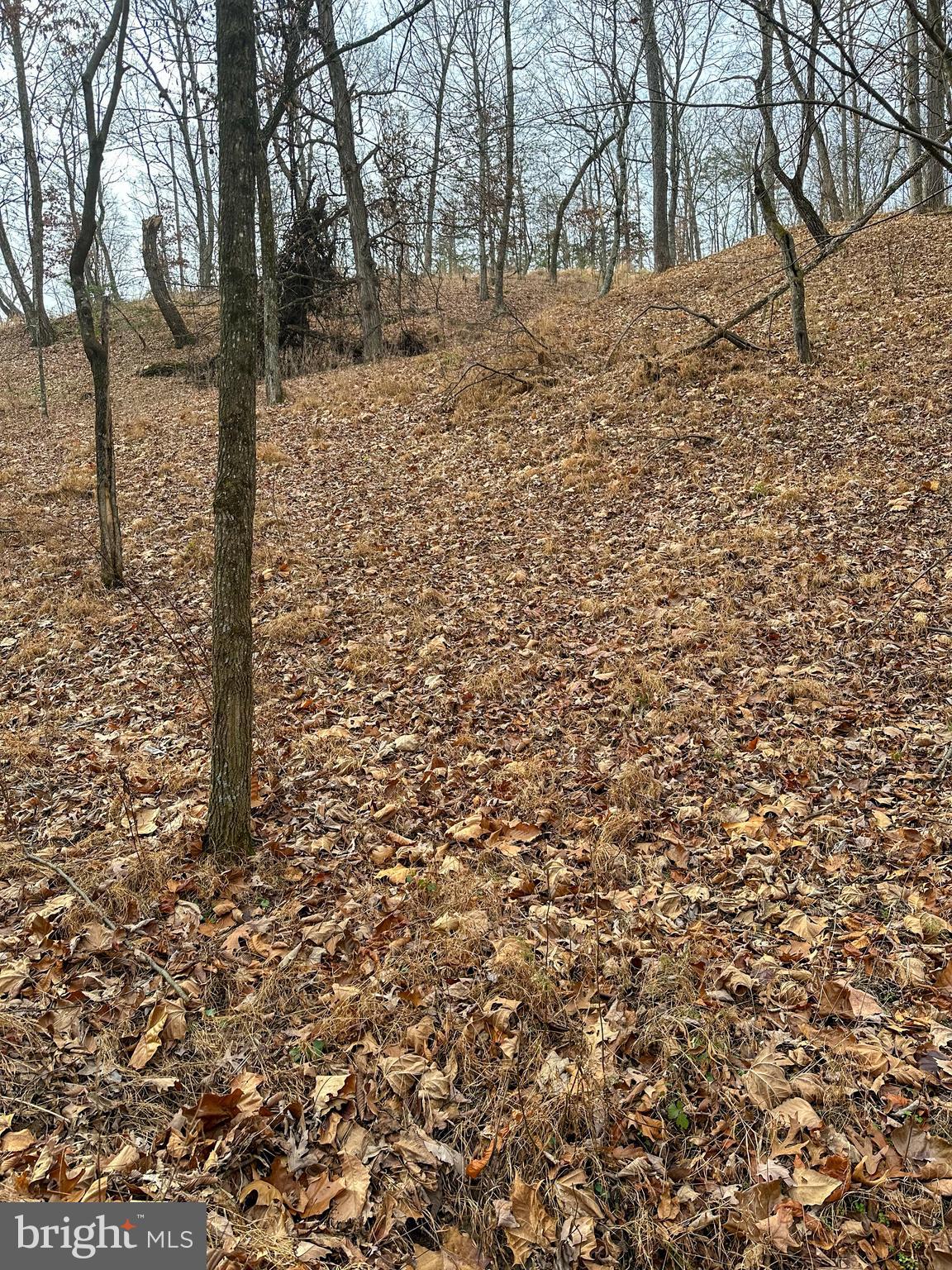 RIDGES AT SOUTH BRANCH - Land