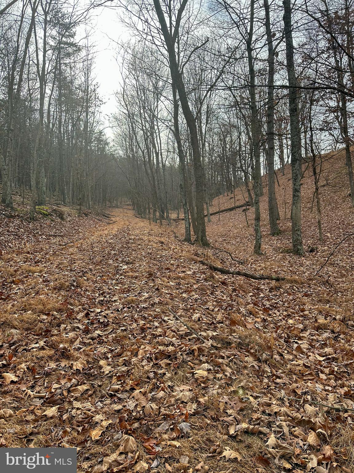 RIDGES AT SOUTH BRANCH - Land