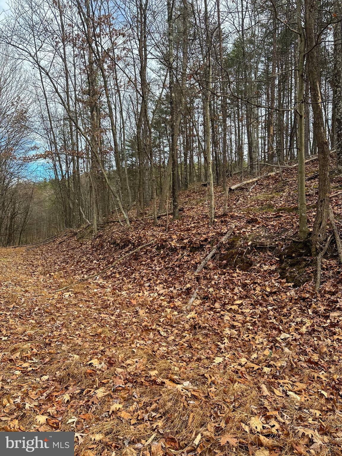 RIDGES AT SOUTH BRANCH - Land