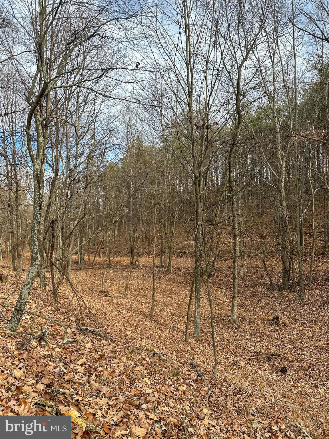 RIDGES AT SOUTH BRANCH - Land