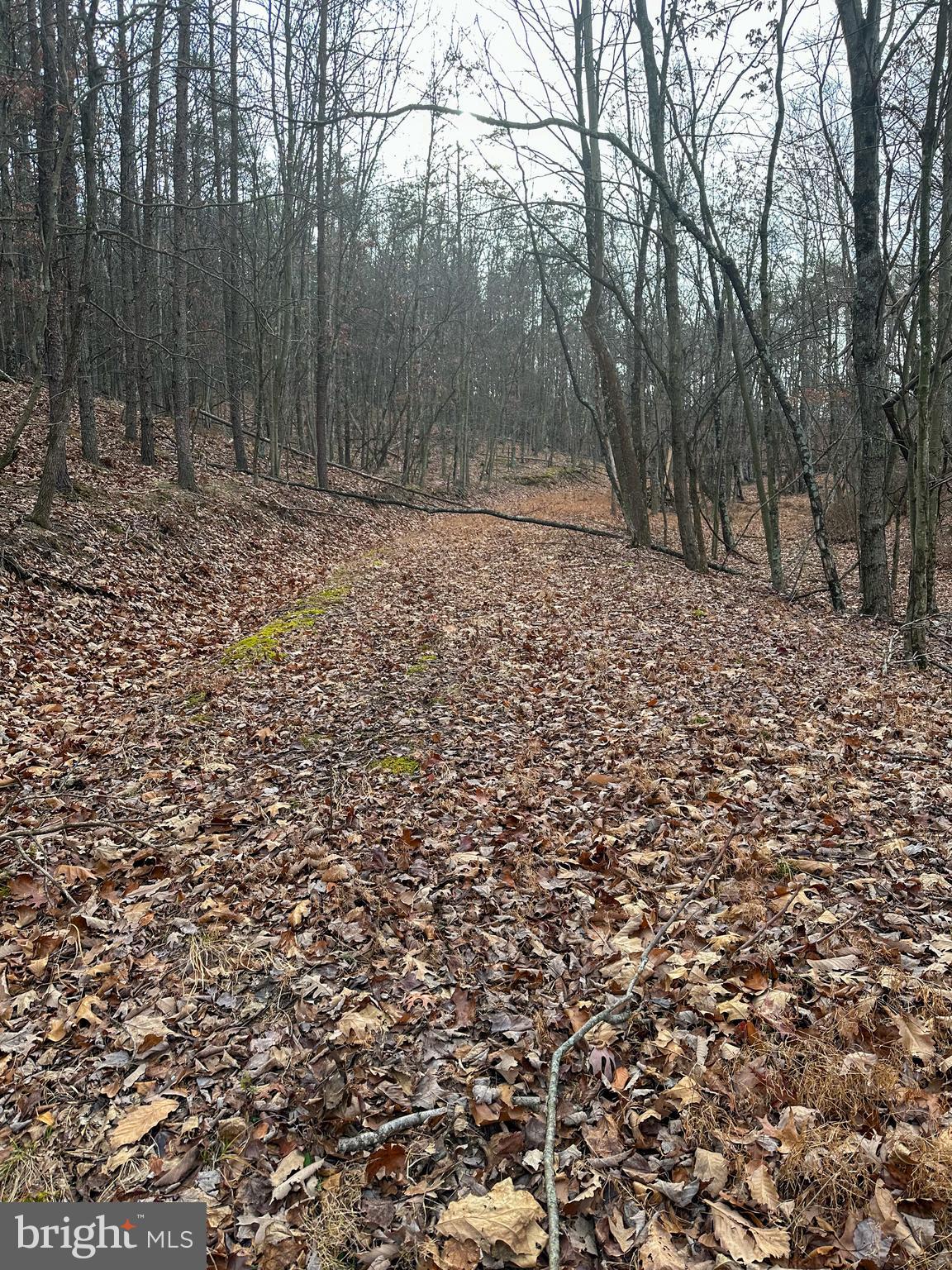 RIDGES AT SOUTH BRANCH - Land