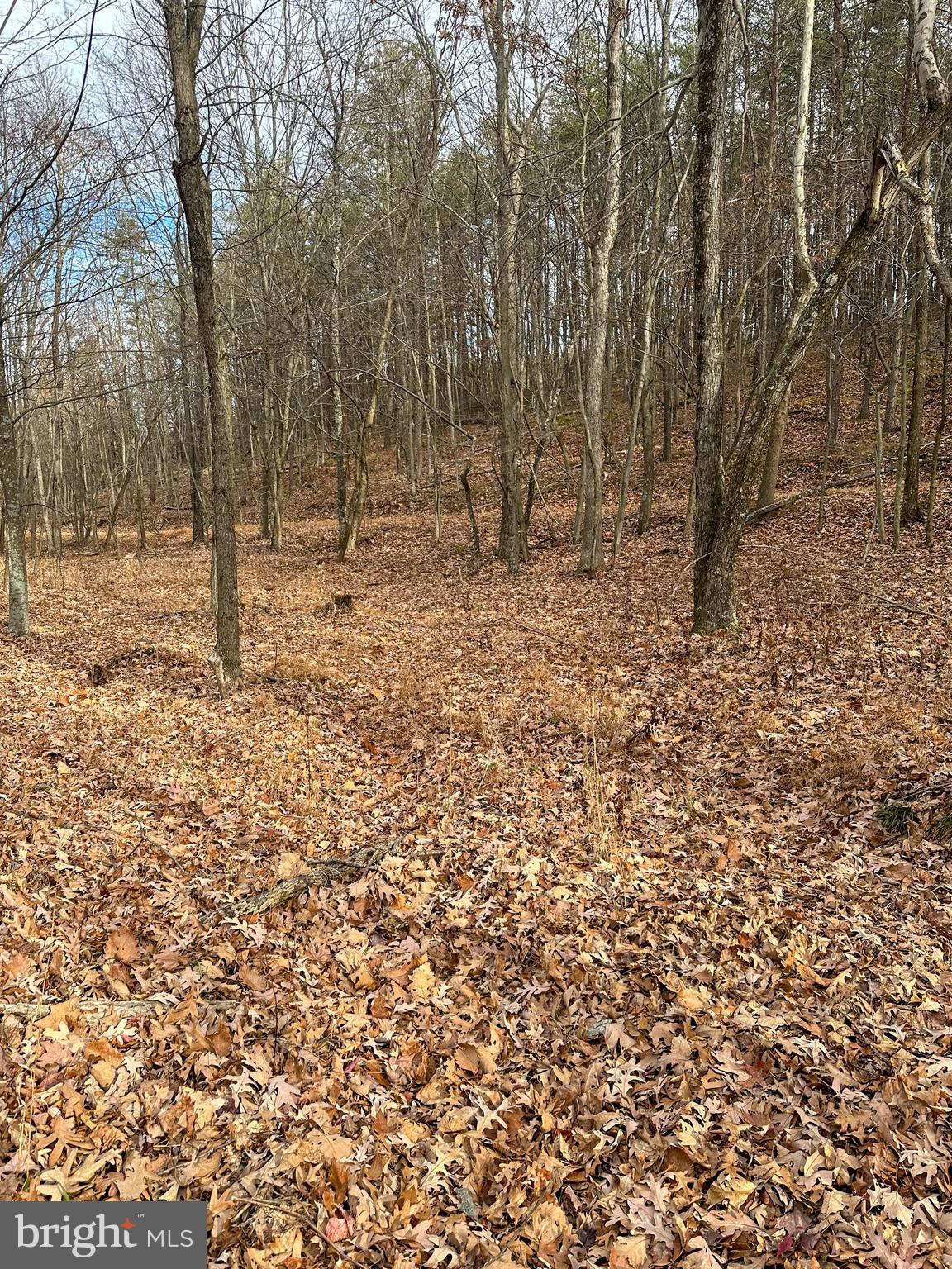 RIDGES AT SOUTH BRANCH - Land