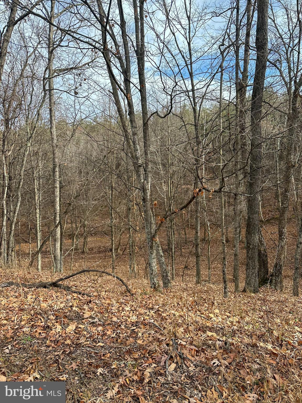 RIDGES AT SOUTH BRANCH - Land