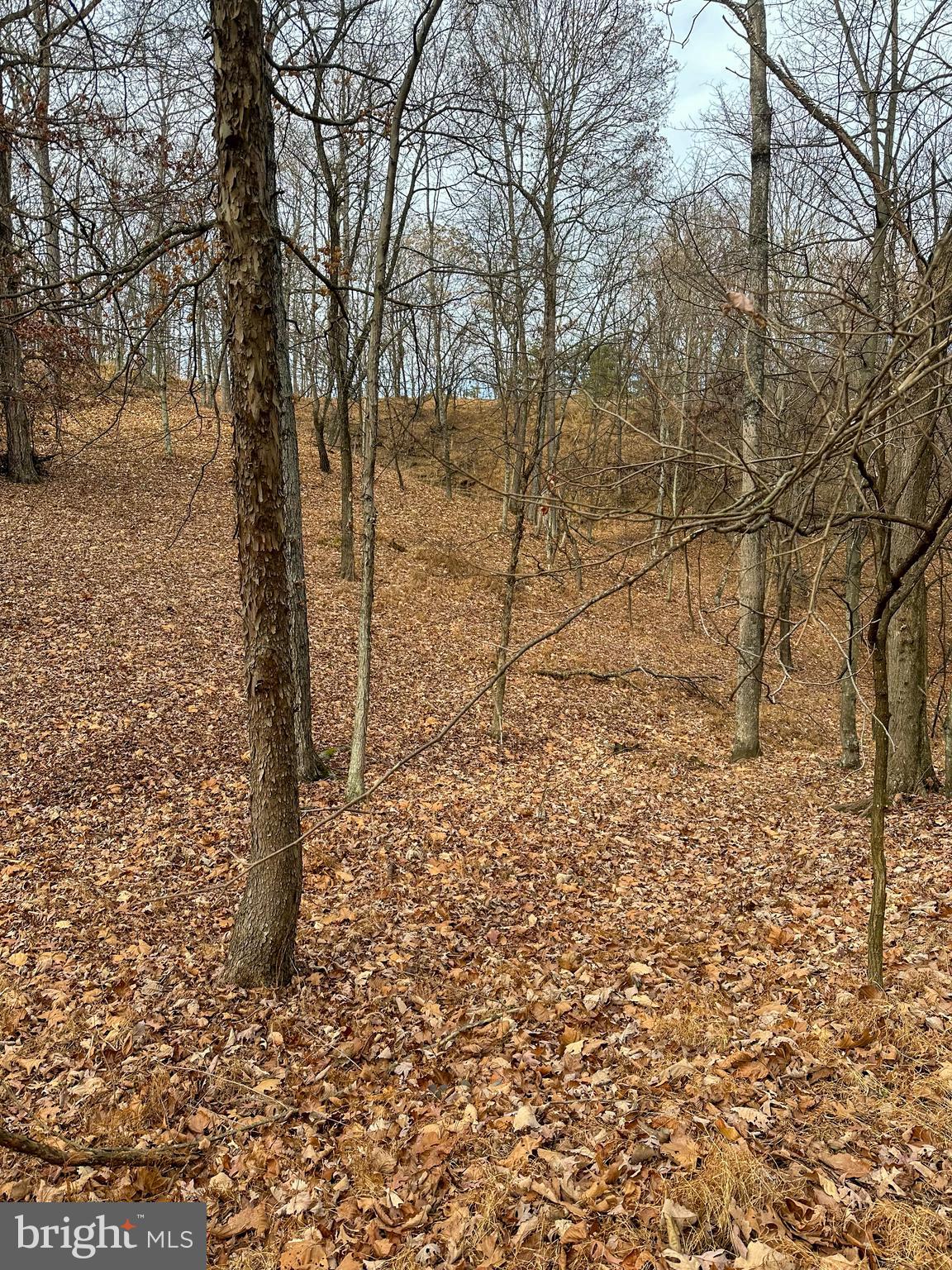 RIDGES AT SOUTH BRANCH - Land