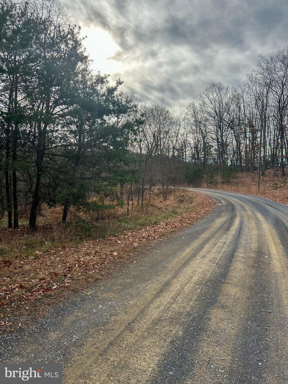 RIDGES AT SOUTH BRANCH - Land