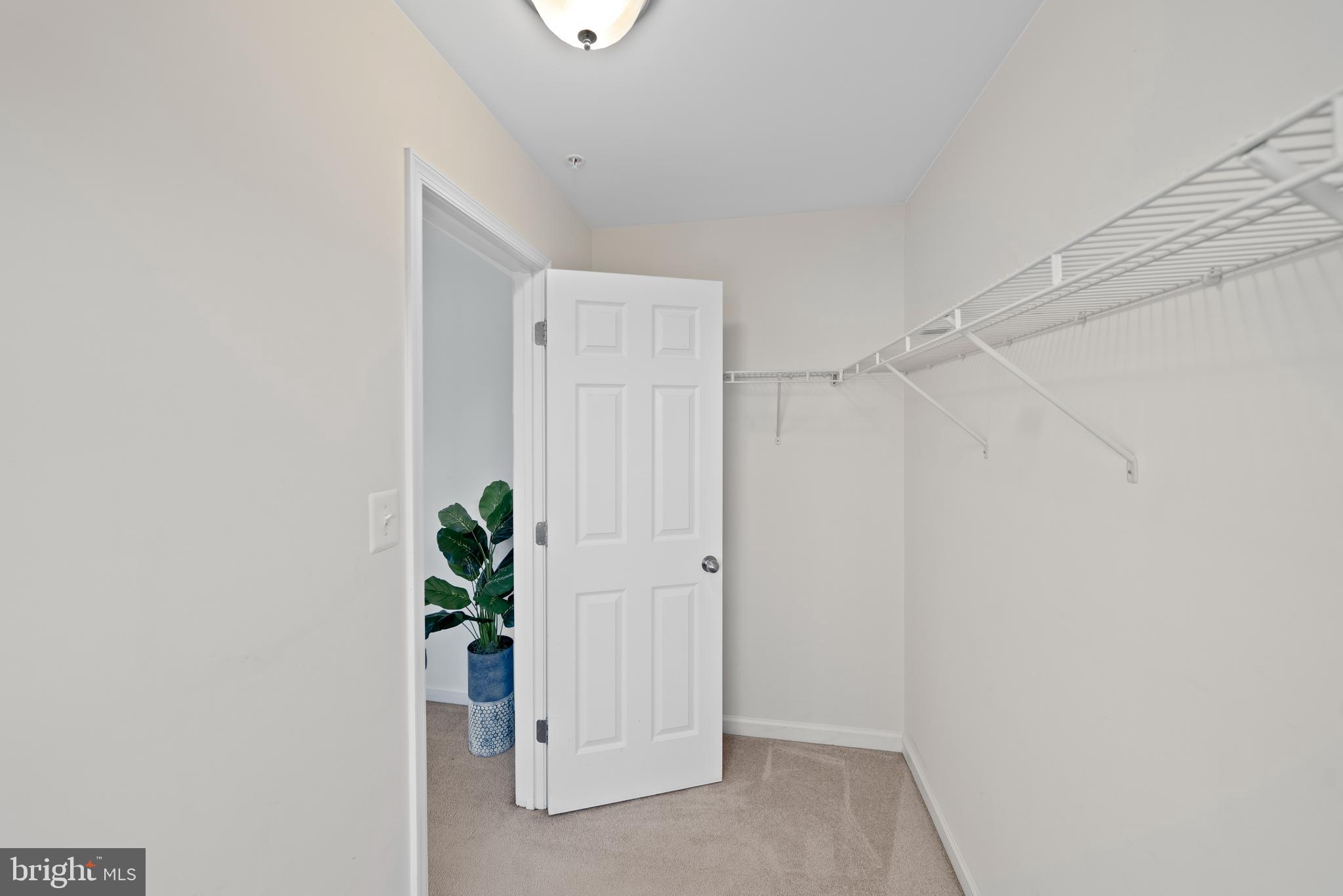 BEECHTREE ESTATES - Residential