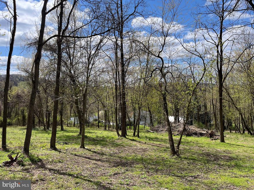 Build your dream home on this 2.57 Acre lot.  Serene setting with beautiful views.  Ready for you to create your homestead.  No known restrictions, Past perc test results available. Current owner unable to build due to unforeseen health issues, great opportunity!