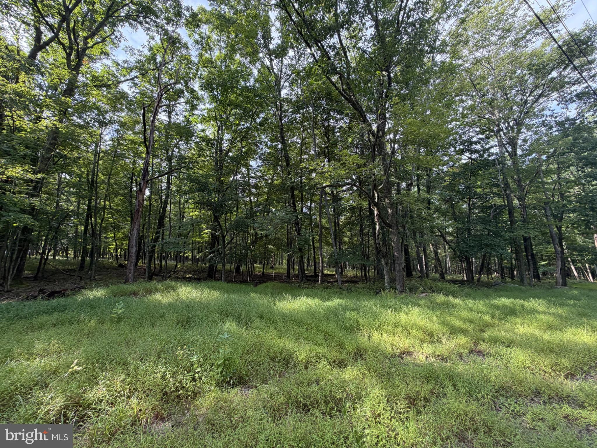 403 Davos Circle, Zion Grove, PA, 17985