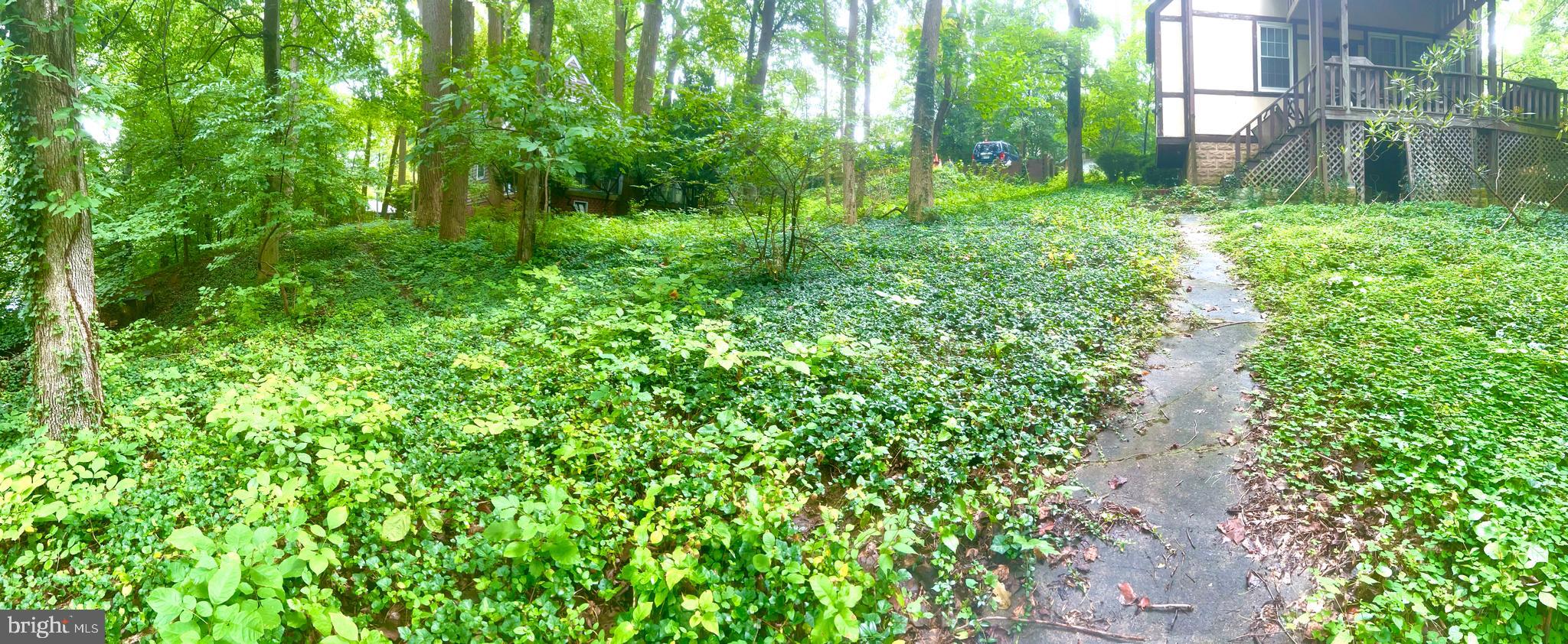 TAKOMA PARK - Residential