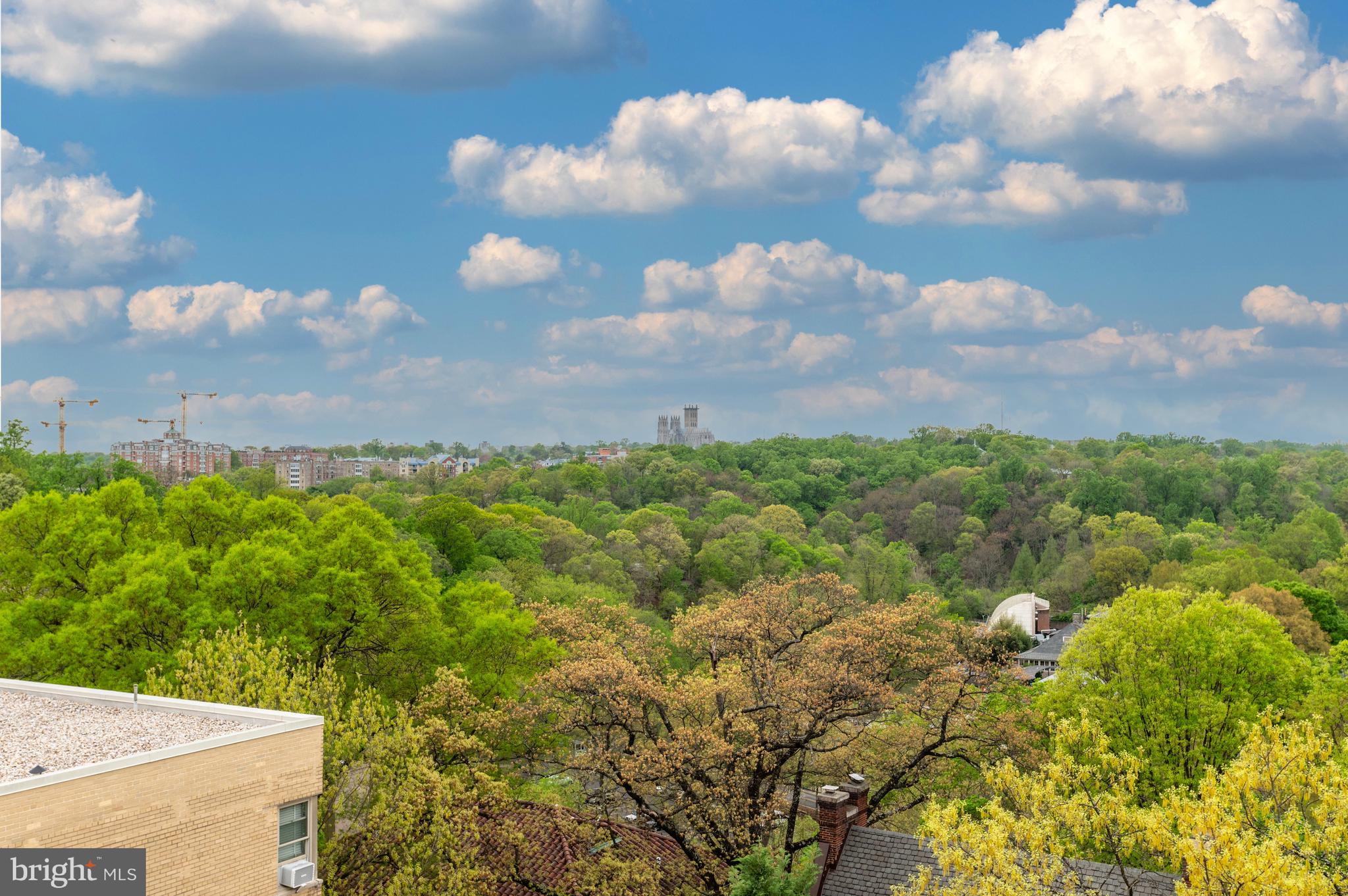 ADAMS MORGAN - Residential