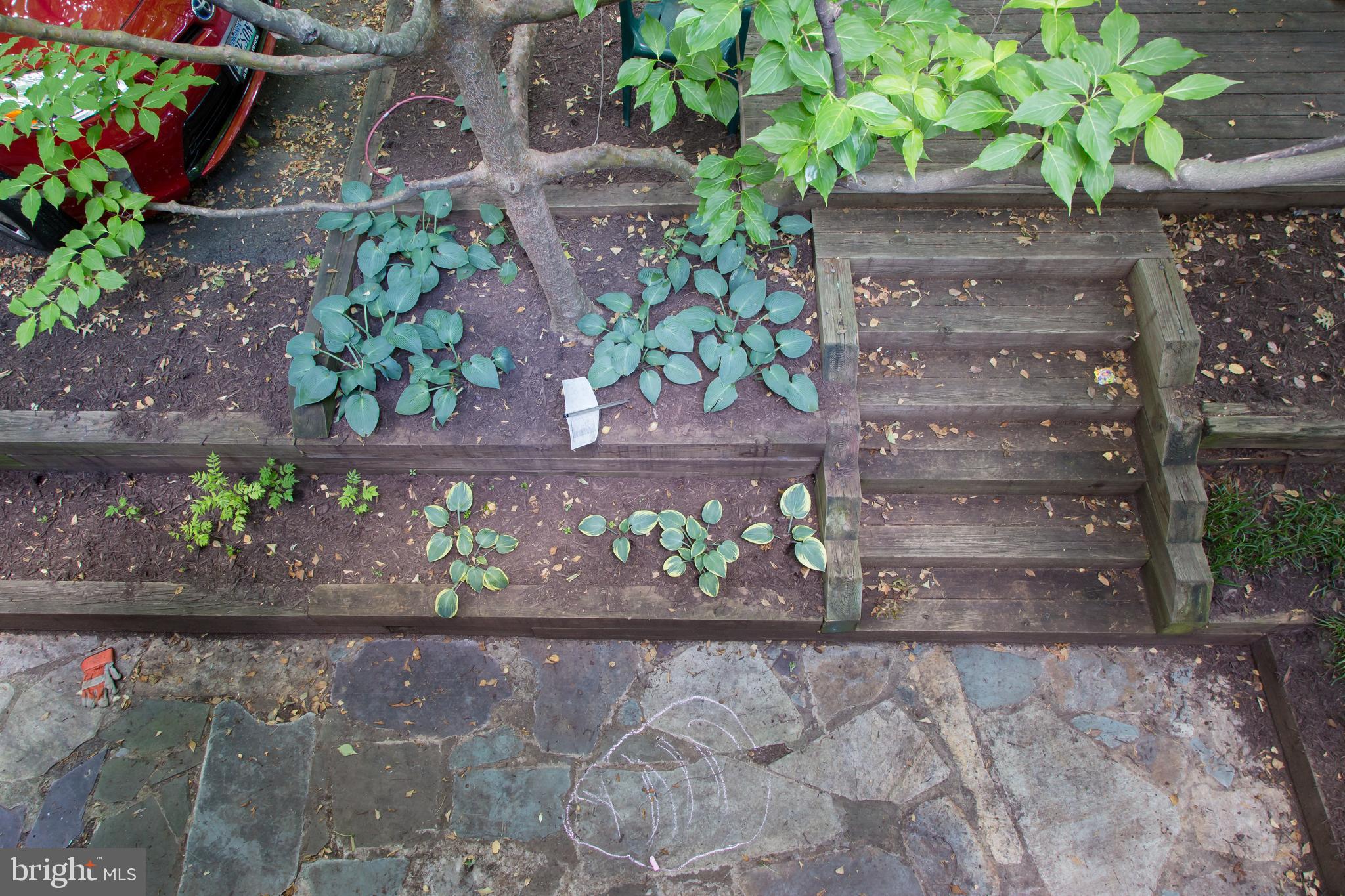 ROSEMONT - Residential Lease