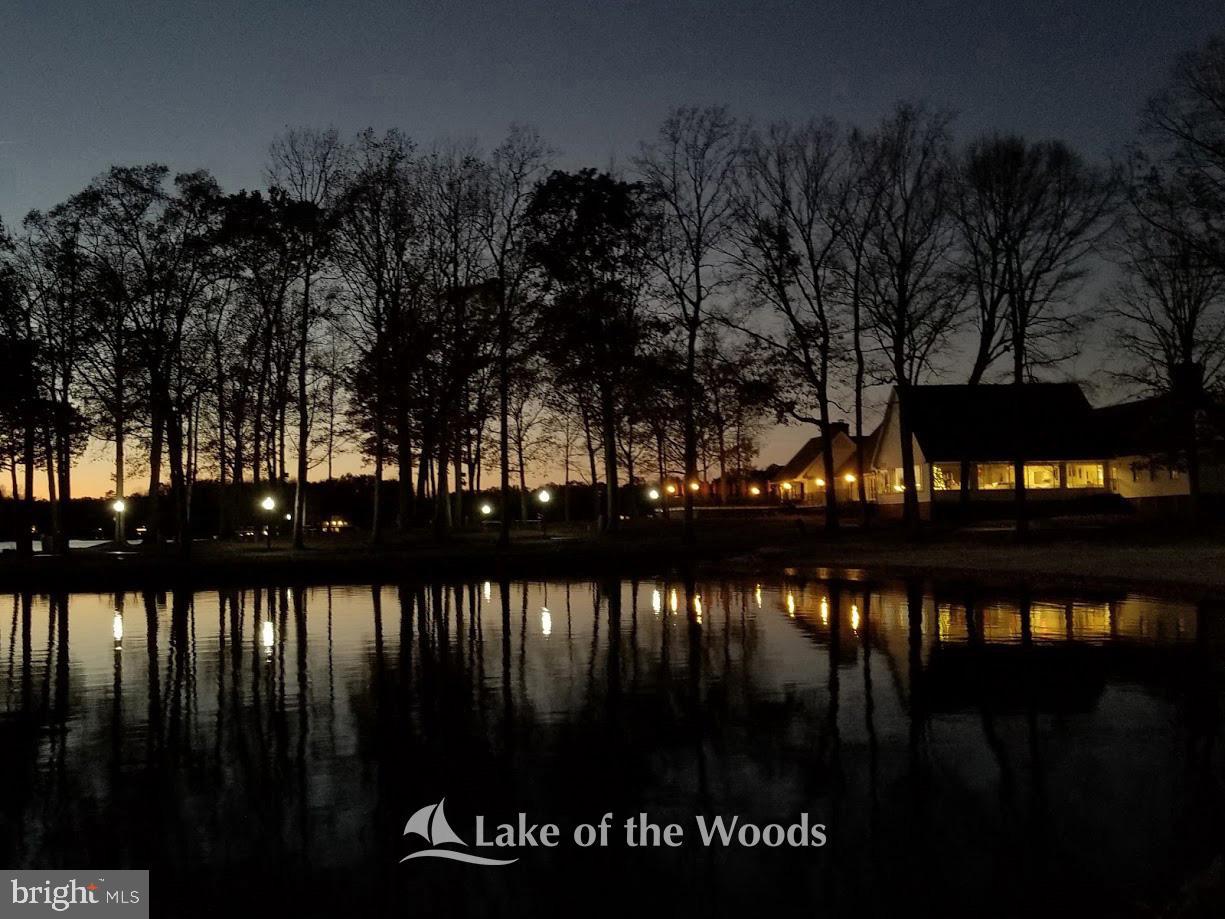 LAKE OF THE WOODS - Residential