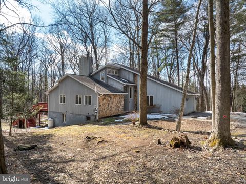 Photo of 50 Toms Lane, PORT MATILDA, PA 16870 (MLS # PACE2517840)
