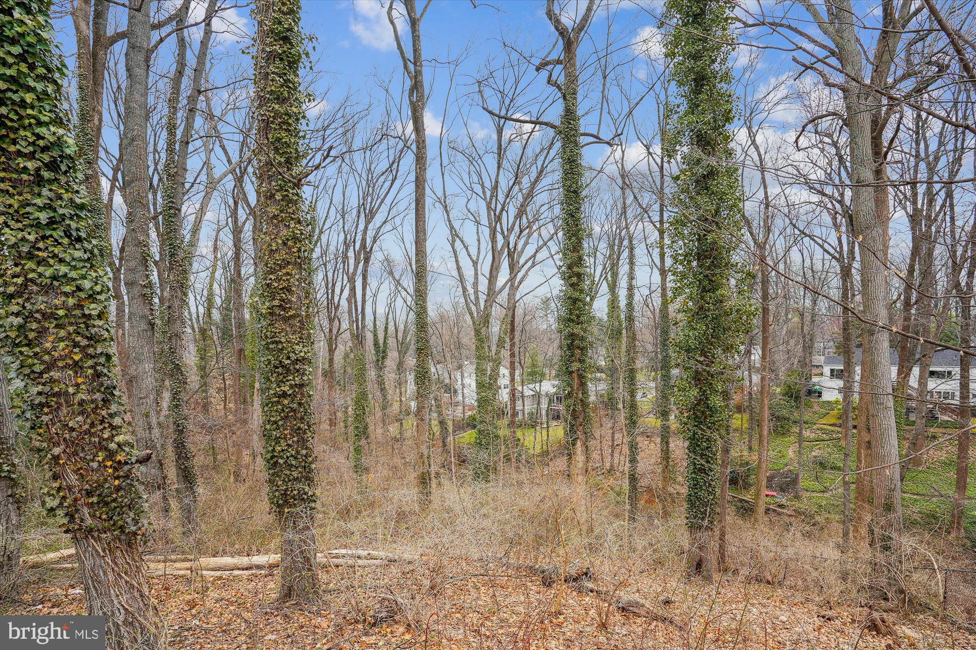 6340 DOGWOOD PLACE