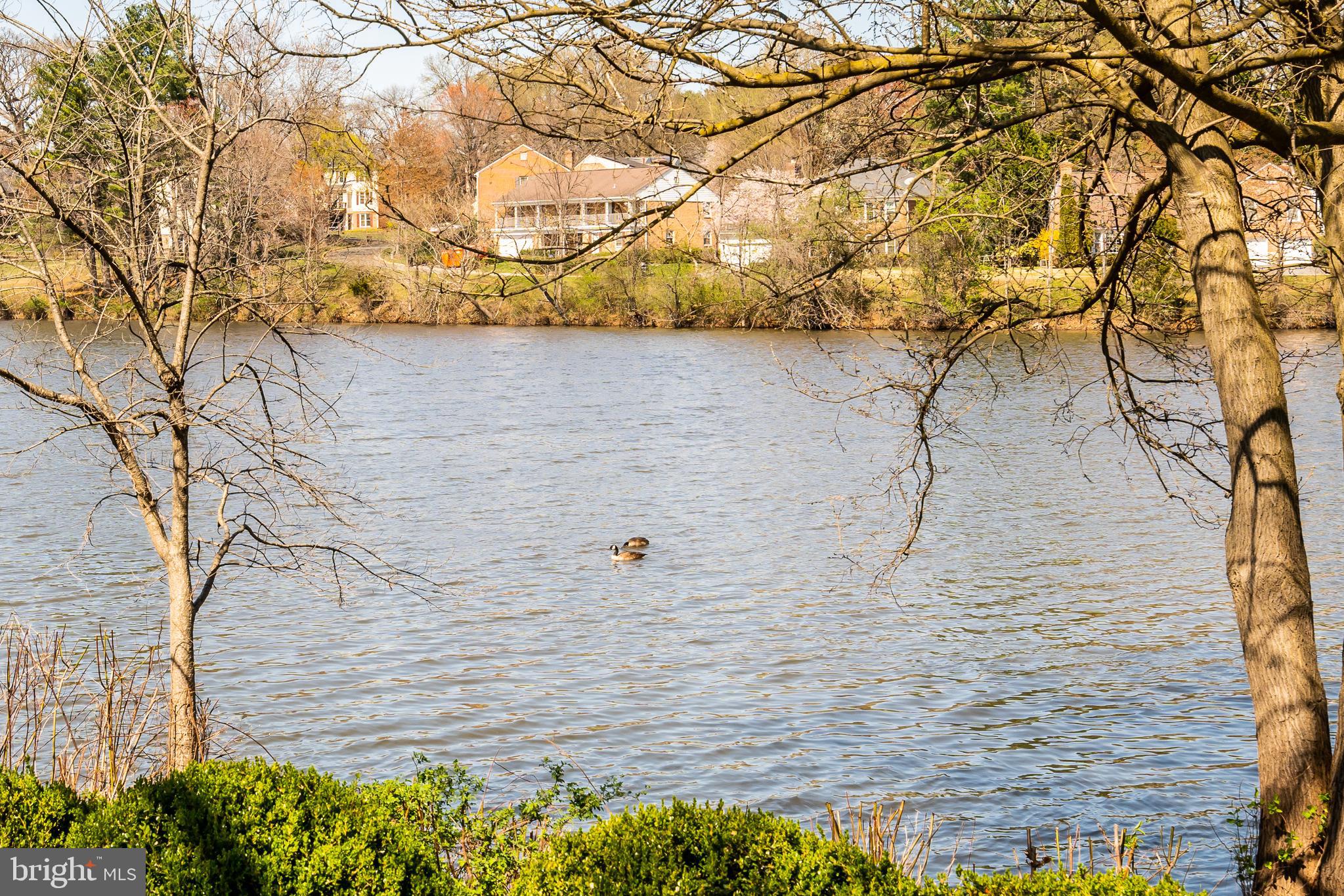 WHETSTONE - Residential