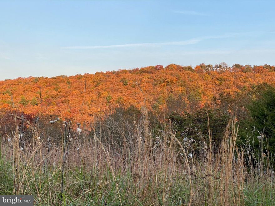 This is the kind of land that builds legacies. 36.02 acres of rugged, untamed West Virginia ground packed with everything serious buyers crave: massive hardwoods, hidden meadows, sweeping mountain views, and direct county road frontage. No restrictions. No HOA. Just pure, wide-open freedom. Hunt it. Build on it. Invest in it. Wildlife is everywhere—whitetail, turkey, and more—and the property’s diverse habitat and rolling topography make it a prime candidate for food plots. Electricity is already on site, and multiple home-run building locations offer privacy, seclusion, and commanding mountain views. Adding to its appeal, there’s an old barn with a stream nearby, providing immediate storage and endless future opportunities. High-speed internet is available in the area, so whether you want to stay off-grid or tie in, the choice is yours. The location seals the deal. Just 45 minutes to I-81, under two hours from Washington, D.C., and only minutes from Corridor H, you’re close to everything yet far enough to feel worlds away. Lost River—one of West Virginia’s most scenic and sought-after destinations—is right around the corner, and both the George Washington National Forest and Lost River State Park are within easy reach, offering endless hiking, hunting, fishing, and outdoor adventure. This is Hardy County living at its finest—rural mountain charm, outdoor recreation, and big-sky freedom all wrapped into one. Land like this doesn’t last. 36.02 acres of pure West Virginia gold—secure it now and start writing the next chapter of your story.