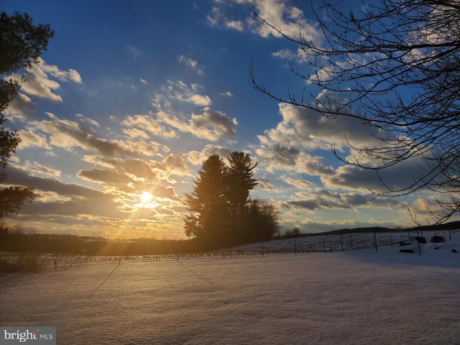 CLAY TOWNSHIP - Residential