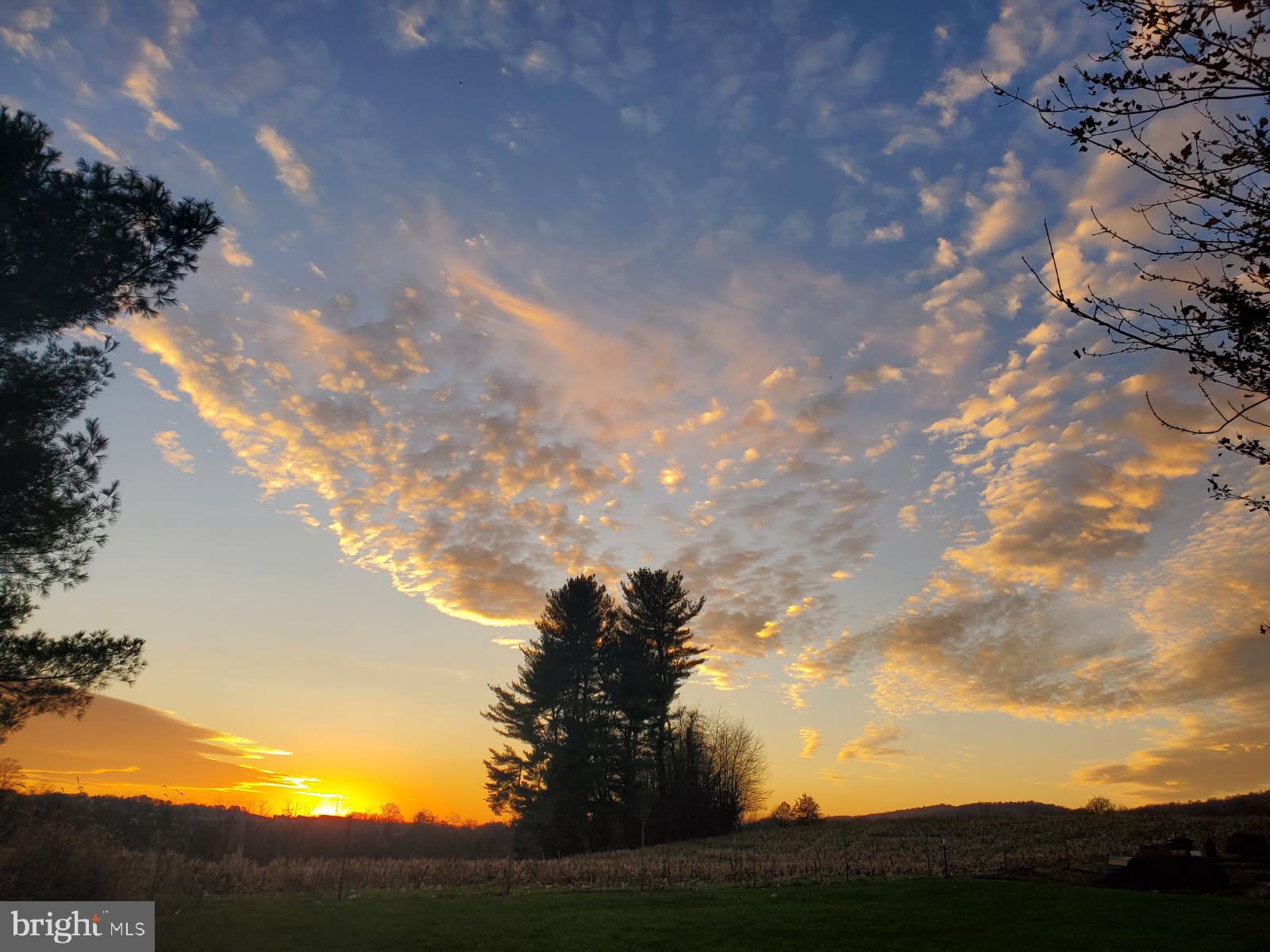 CLAY TOWNSHIP - Residential