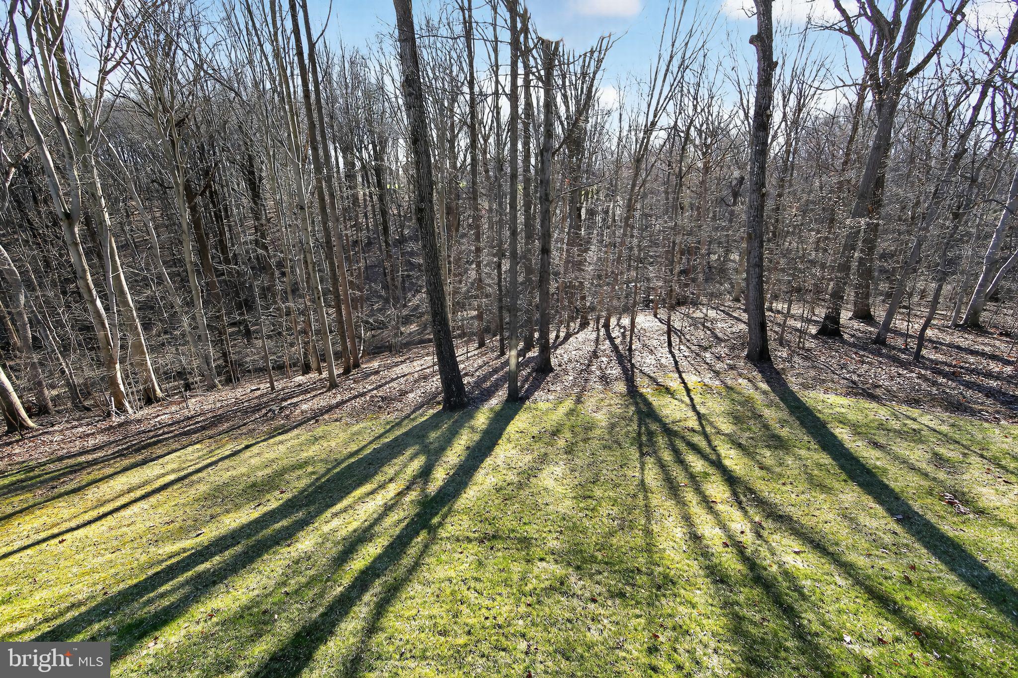 VIRGINIA GLEN - Residential