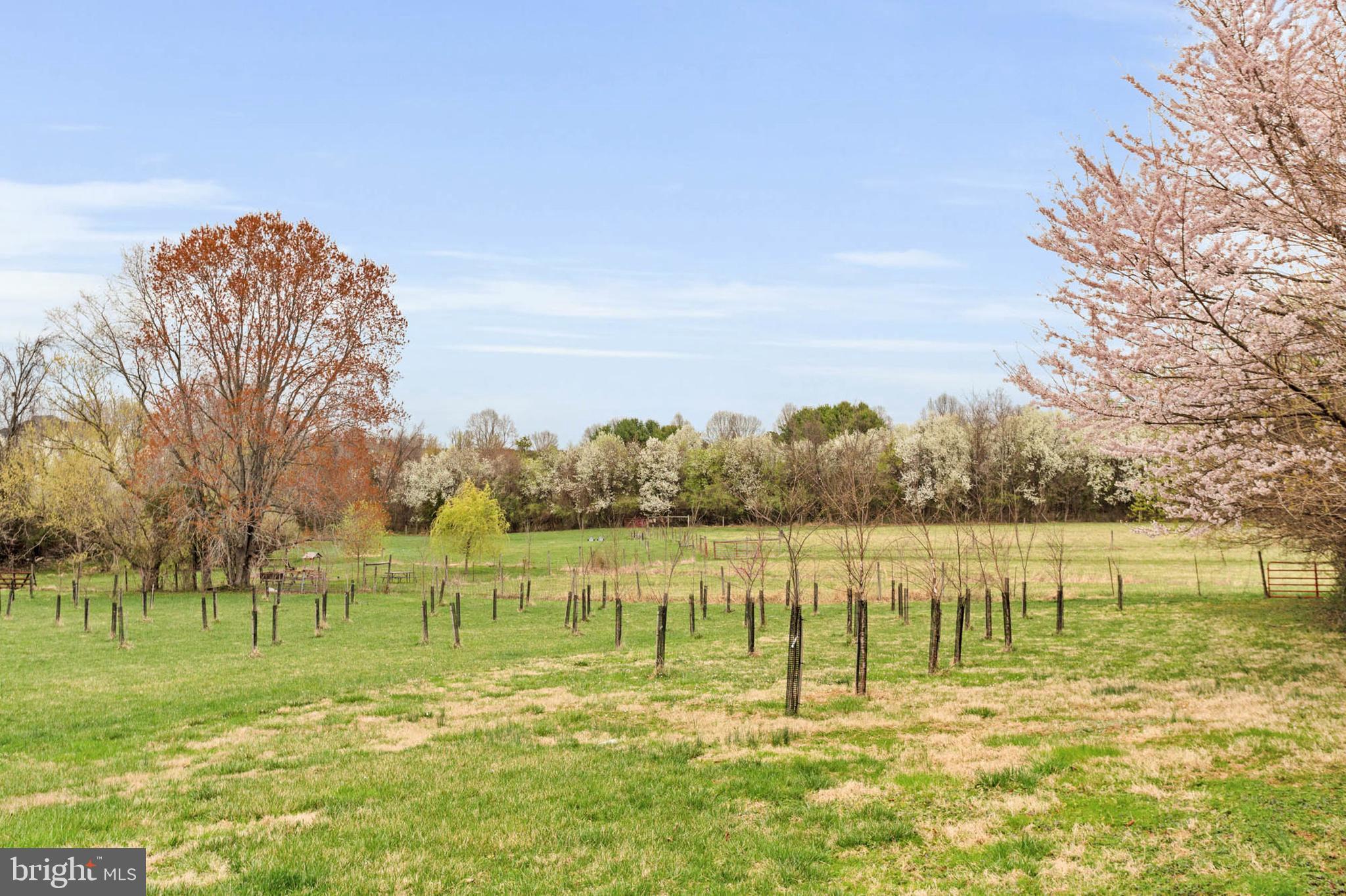 GREENE FIELDS - Residential