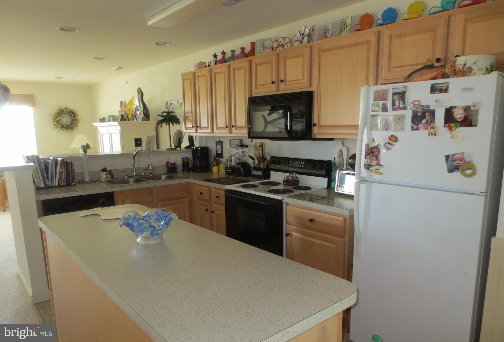 17293 KING PHILLIP WAY 13