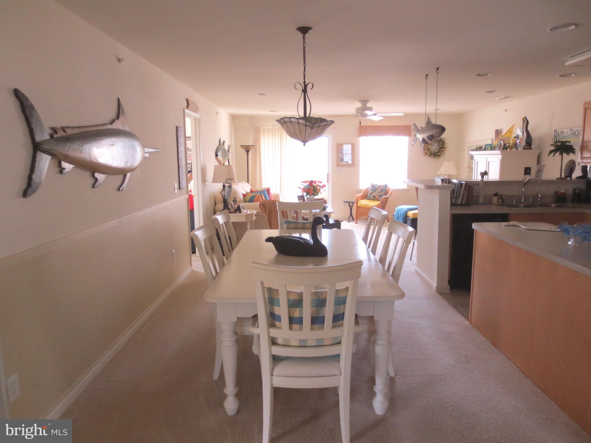 17293 KING PHILLIP WAY 13