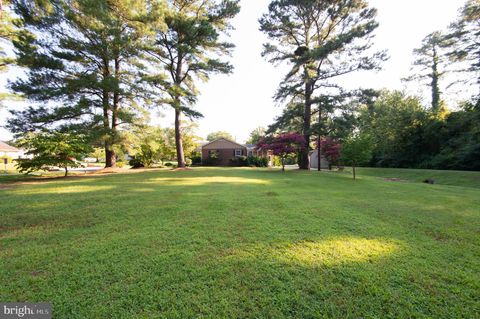 2 & 4 ALGONQUIN ROAD CAMBRIDGE MD 21613