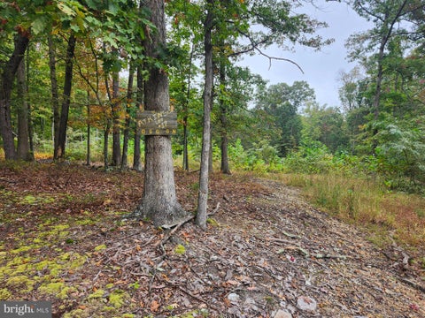 Vacant Land For Sale - LOT 17 Quaker Lake Trail<br/> CAPON BRIDGE, WV 26711
