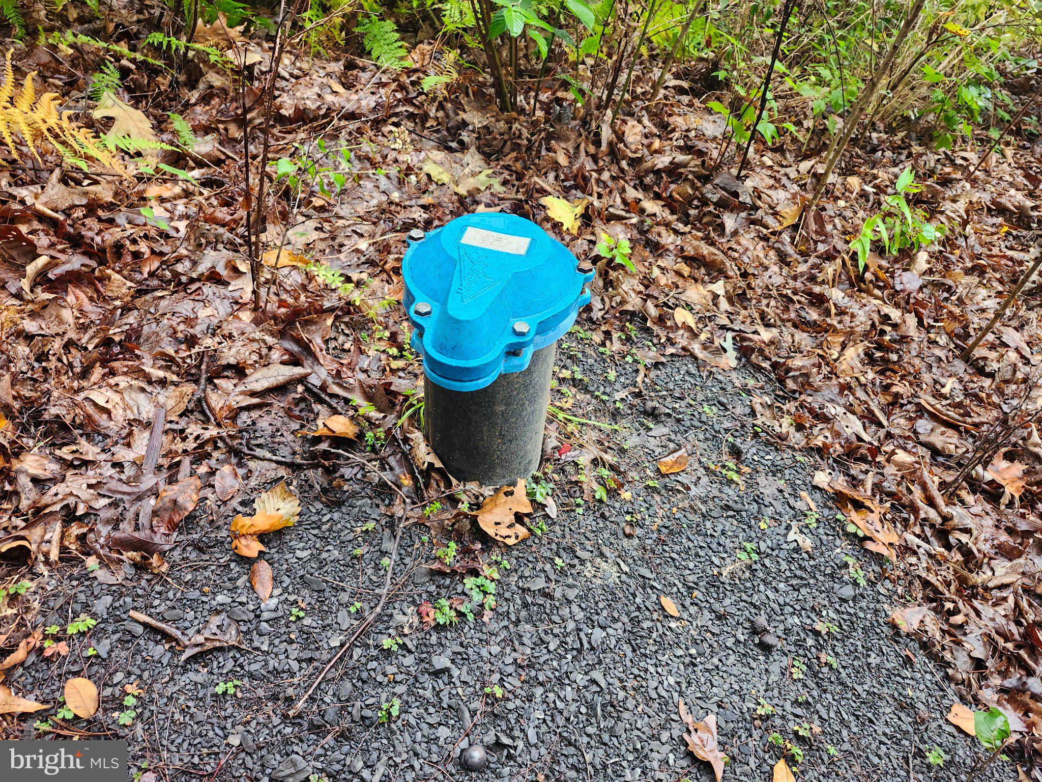 Lot 17 QUAKER LAKE TRAIL