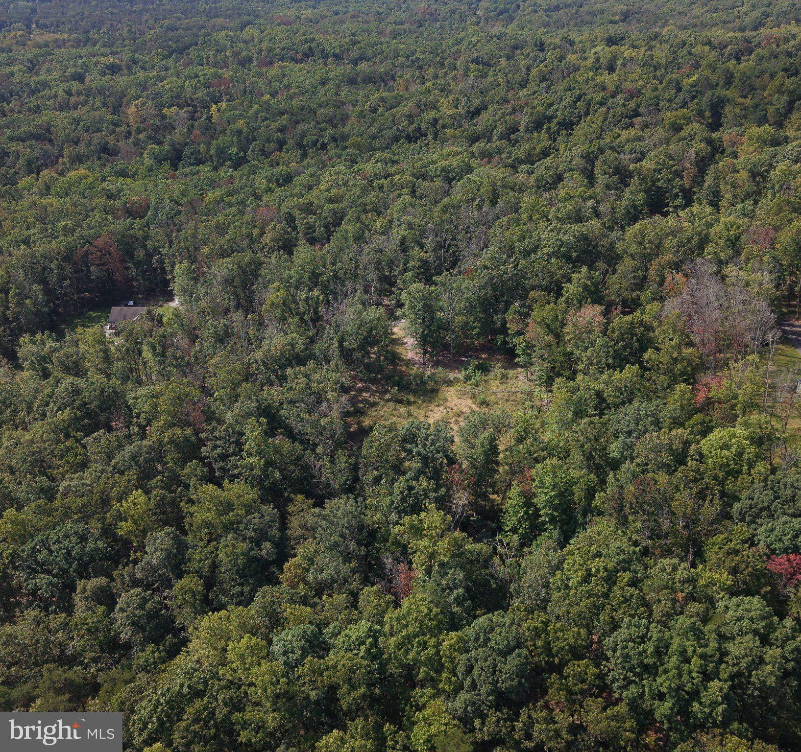 Lot 17 QUAKER LAKE TRAIL