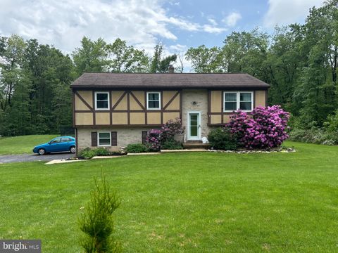 5886 MICHELE DRIVE NARVON PA 17555