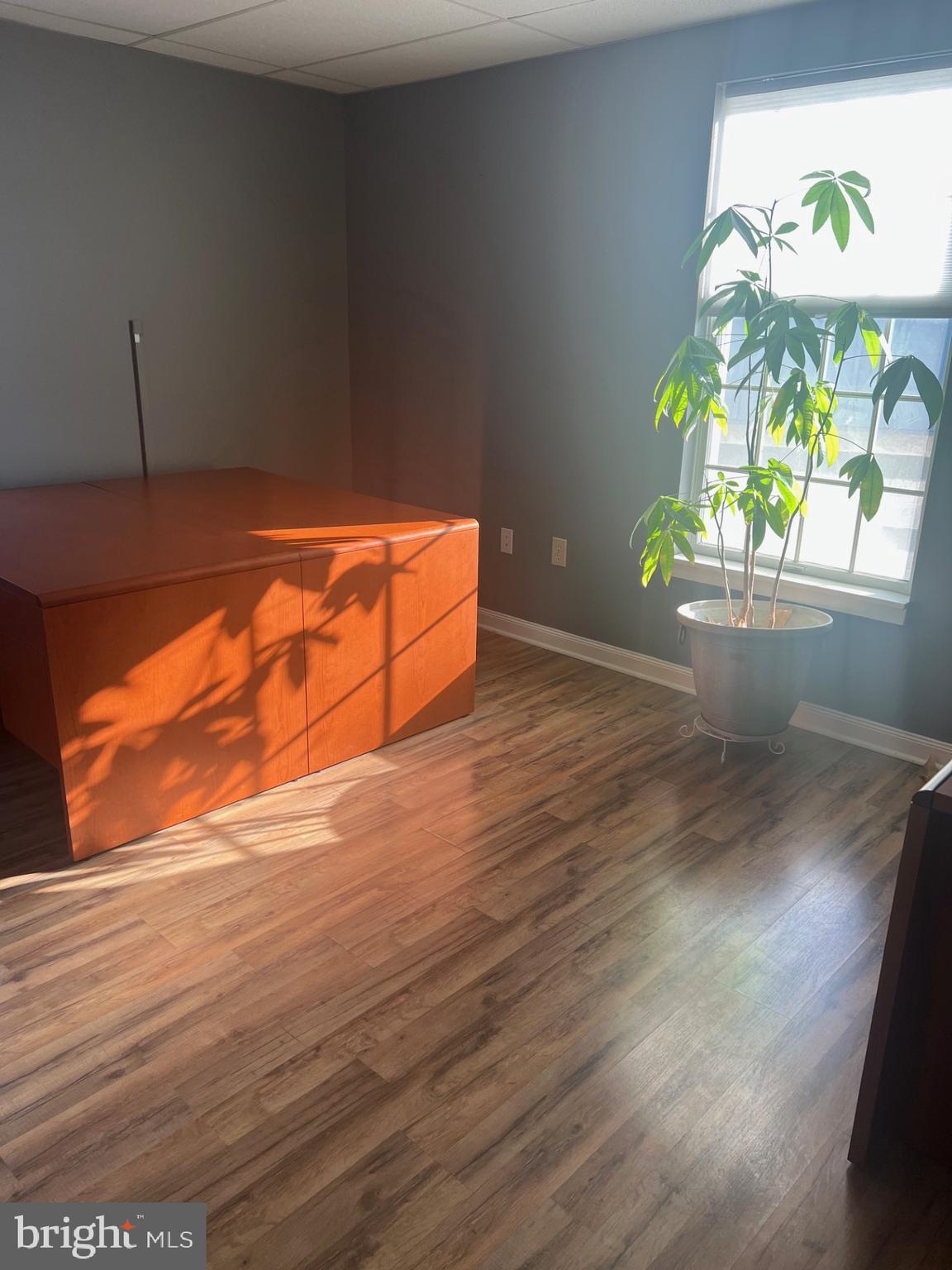 824 JOHN MARSHALL HIGHWAY SUITE 204