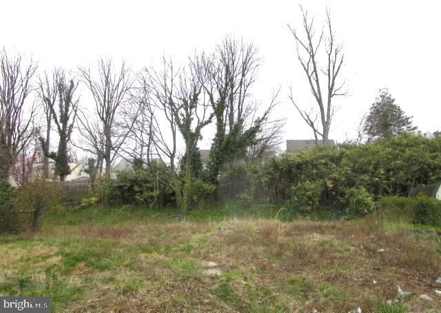 RIVERDALE WOODS - Land