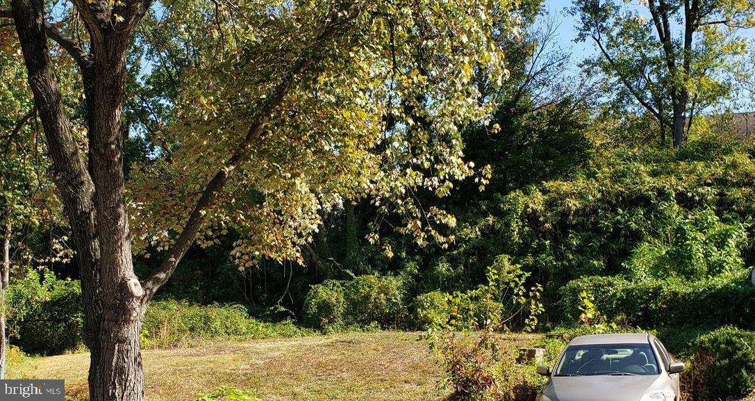 RIVERDALE WOODS - Land