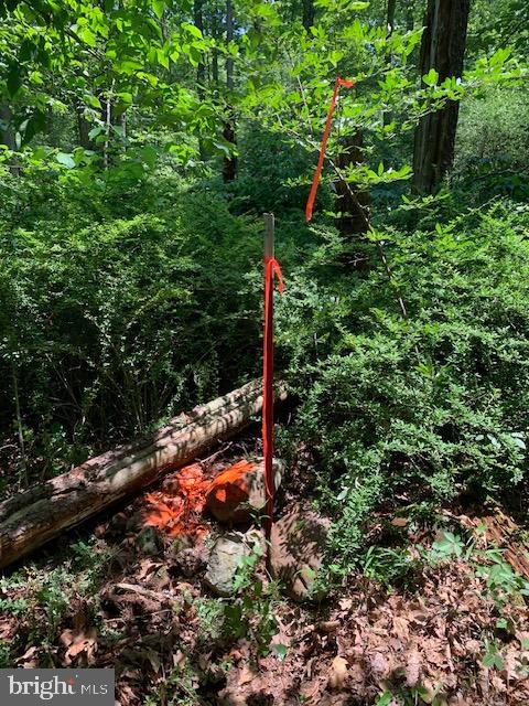 NONE AVAILABLE - Land